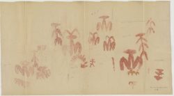 Reproducción de las pinturas rupestres de hace 6.000 años de Peña Escrita, en Fuencaliente (Ciudad Real, España) realizada por Francisco Benítez Melladohacia hacia 1920. Las pinturas incluyen una de las primeras representaciones de un parto.